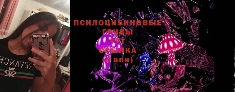 хочу   Таганрог  Псилоцибиновые грибы MAGIC MUSHROOMS 